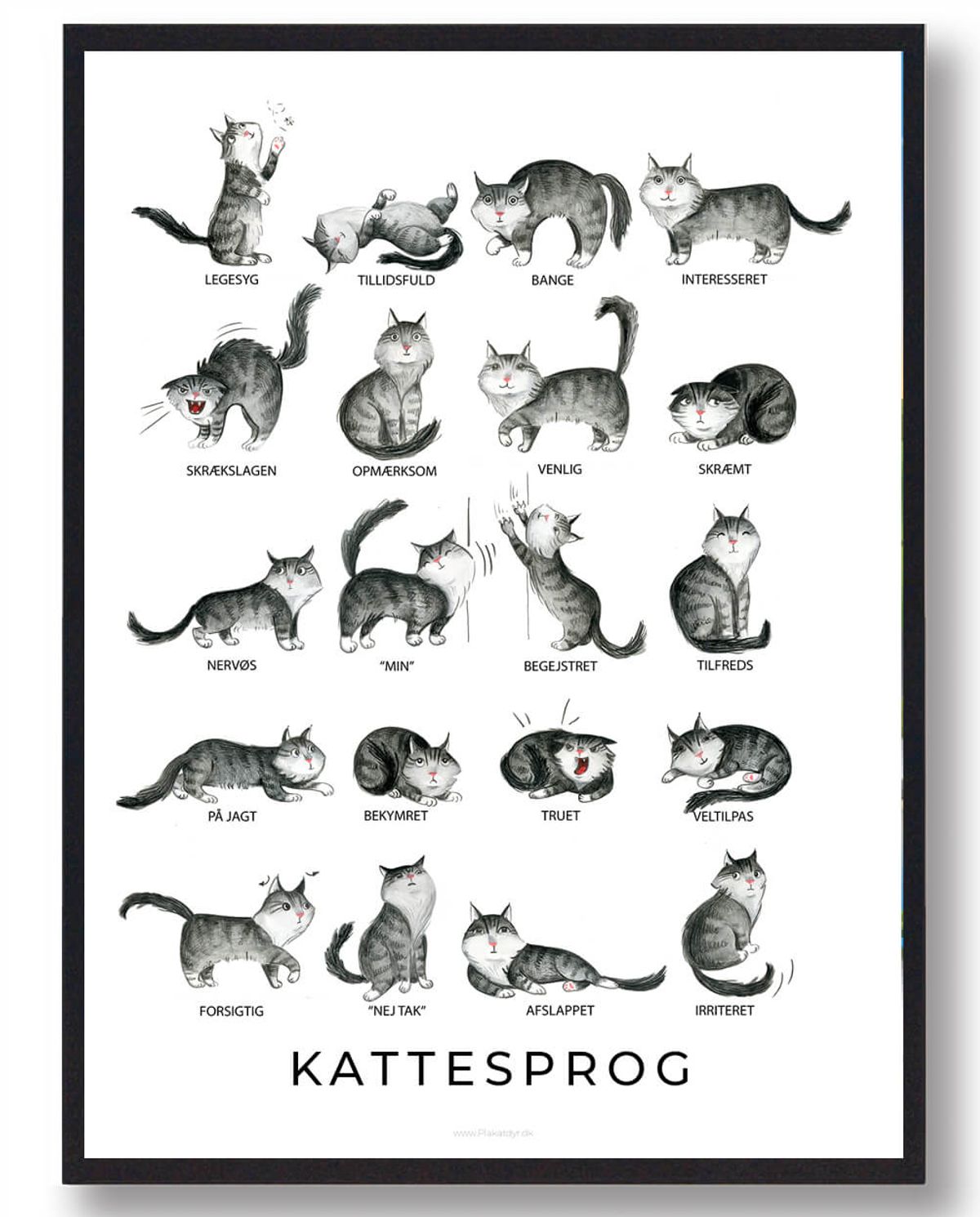 Kattesprog - plakat (Størrelse: L - 50x70cm (B2))