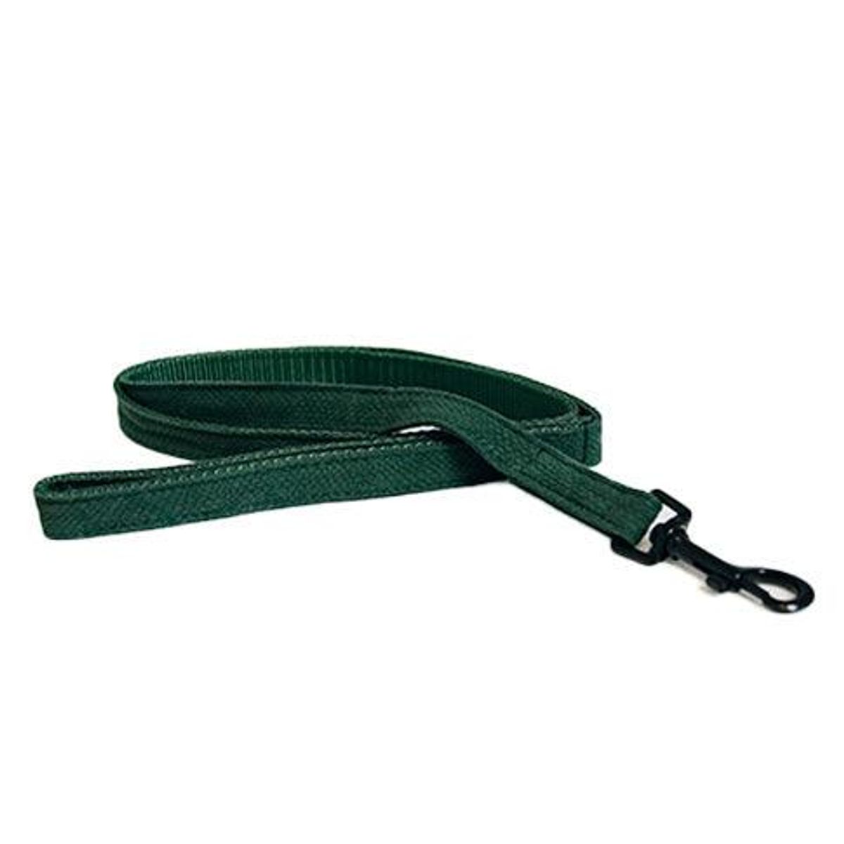 Kentucky Dog Lead Lizard - Grøn - 120 cm