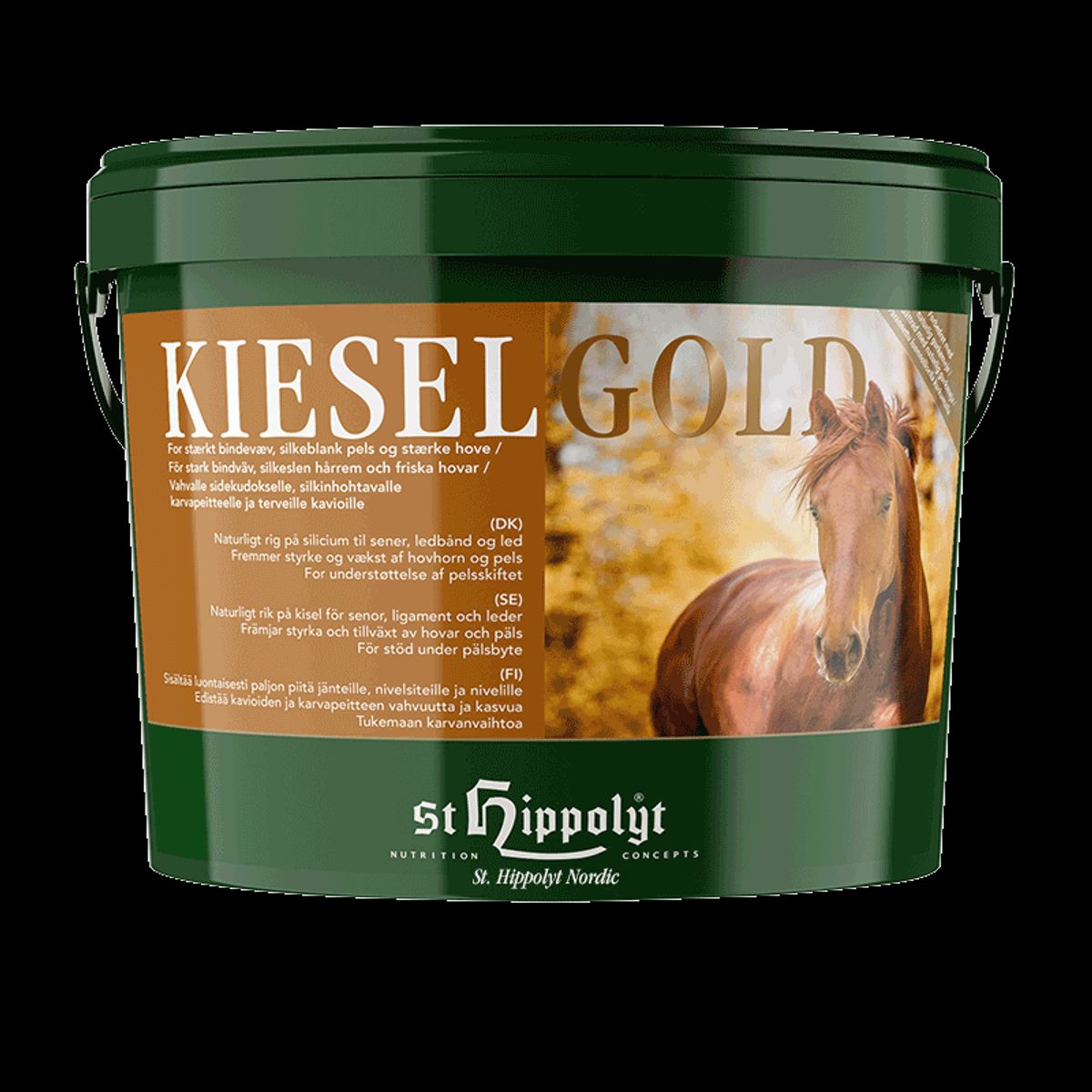 Kieselgold 10 kg