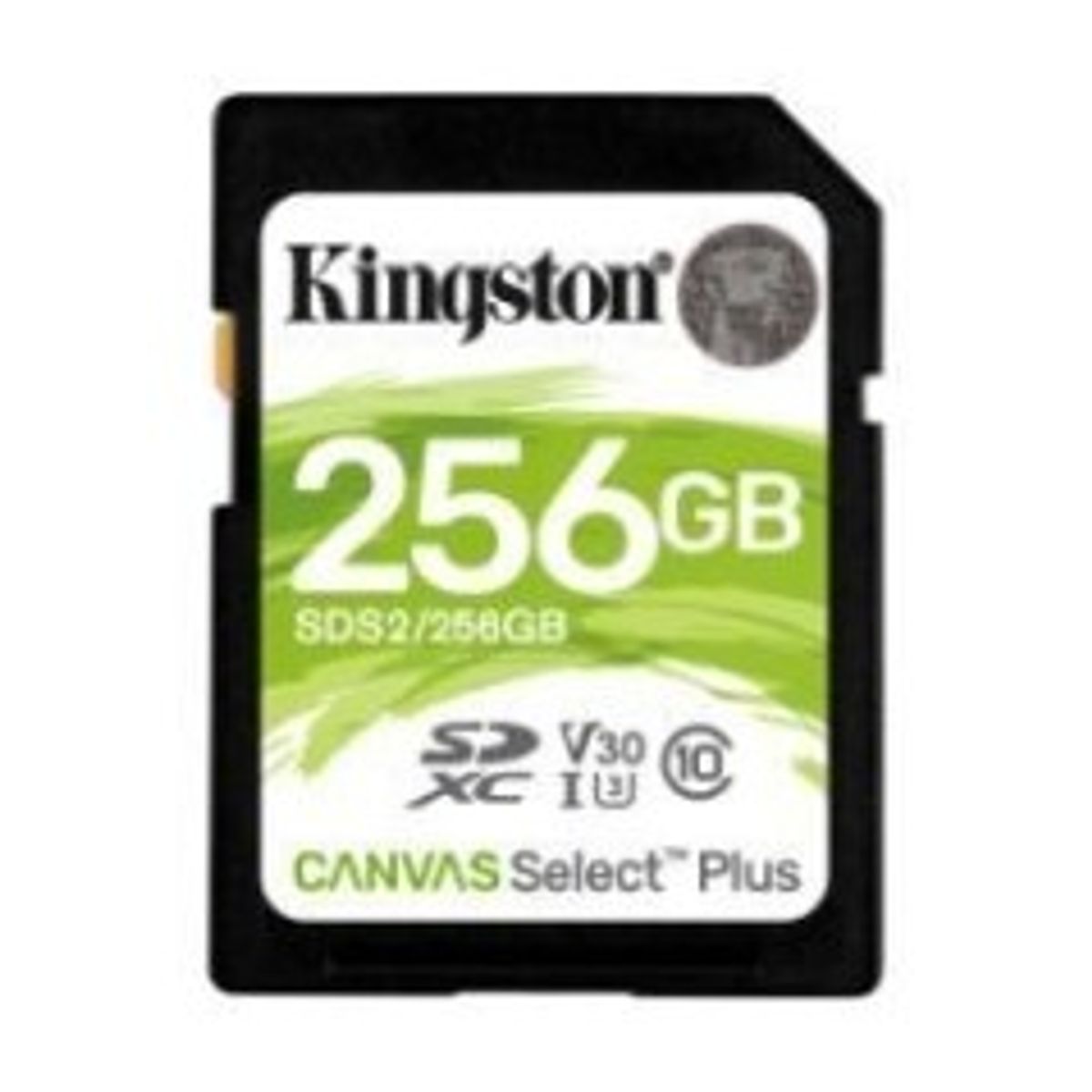 Kingston Canvas Select Plus SDXC 256GB 100MB/s