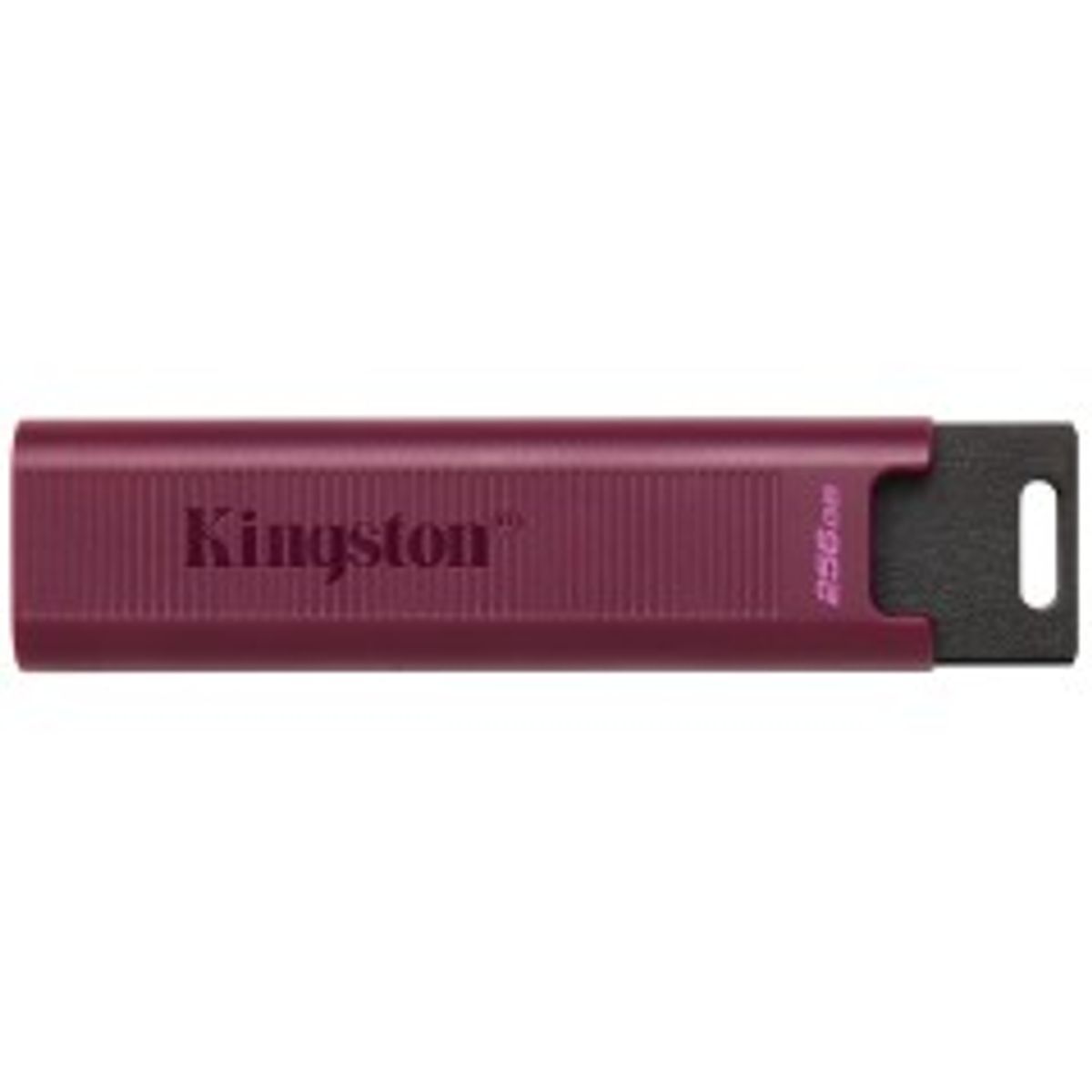 Kingston Datatraveler Max Usb Flash