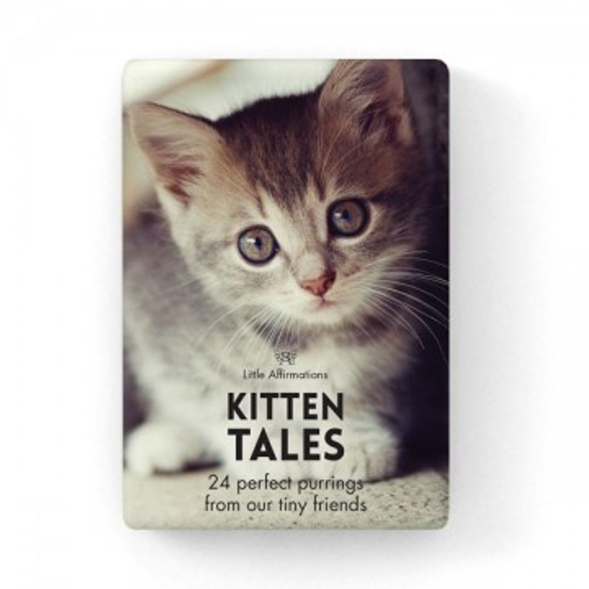 Kitten Tales - Affirmation Kort - Bøger - GodKarmaShop