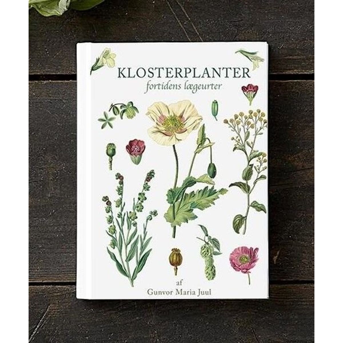 Klosterplanter - Gunvor Maria Juul - Bog