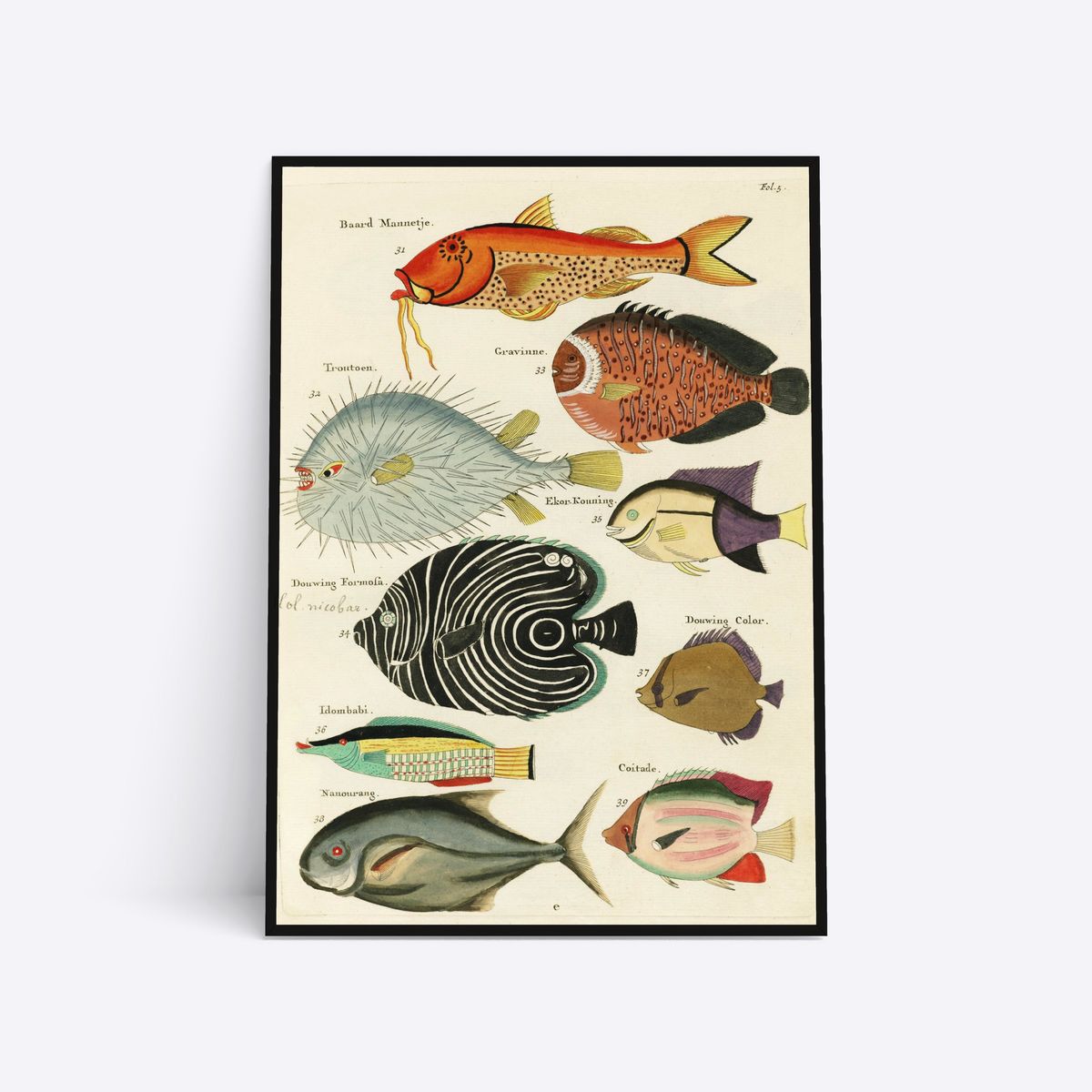 Know Your Fish - 21x30 cm