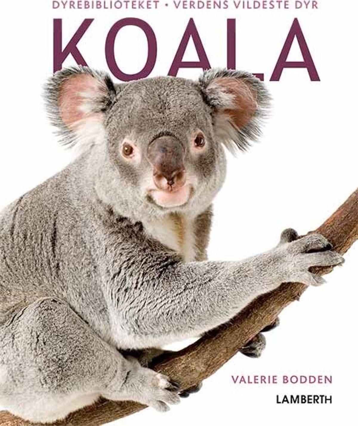 Koala - Valerie Bodden - Bog