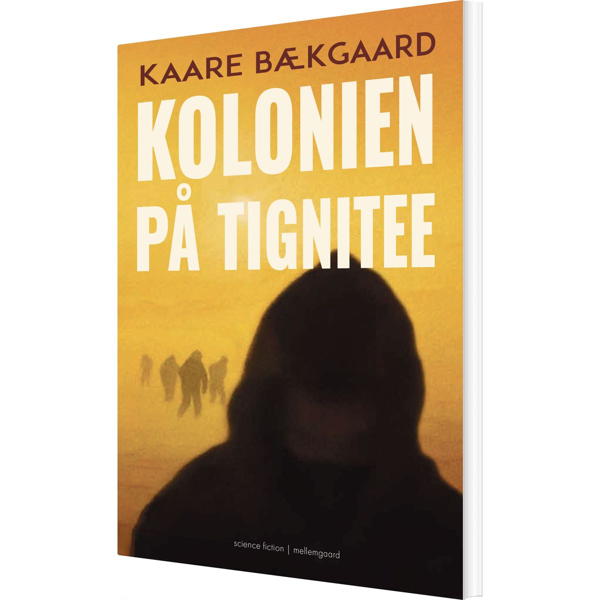 Kolonien På Tignitee - Kaare Bækgaard - Bog