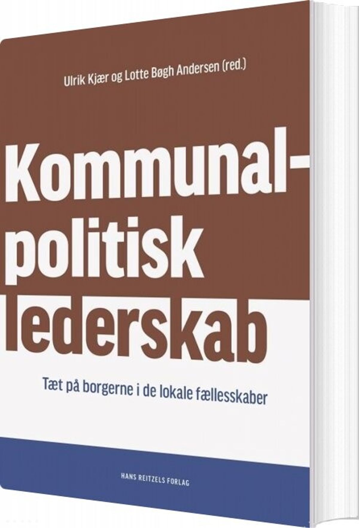 Kommunalpolitisk Lederskab - Niels Ejersbo - Bog