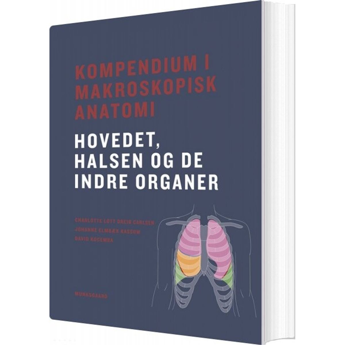 Kompendium I Makroskopisk Anatomi - Hovedet, Halsen Og De Indre Organer - David Kocemba - Bog