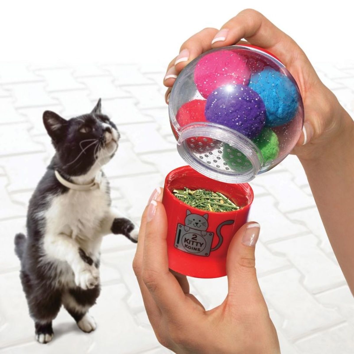 KONG Catnip Infuser.