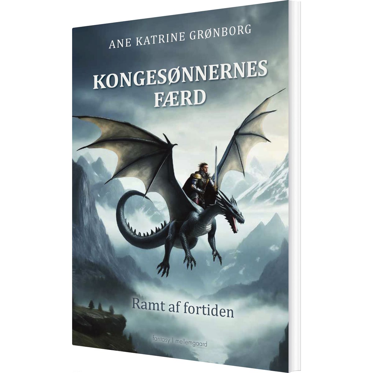 Kongesønnernes Færd - Ane Katrine Grønborg - Bog