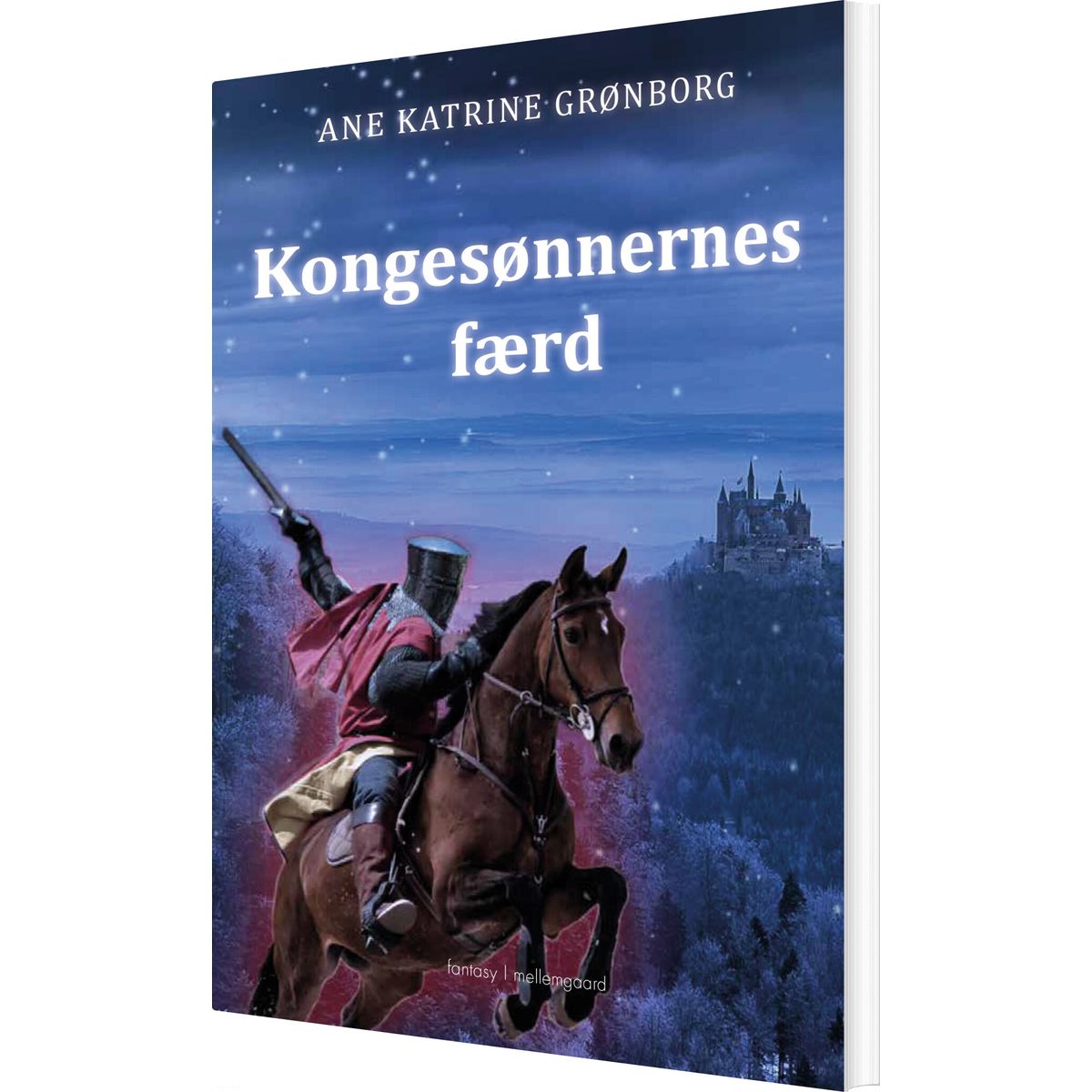 Kongesønnernes Færd - Ane Katrine Grønborg - Bog