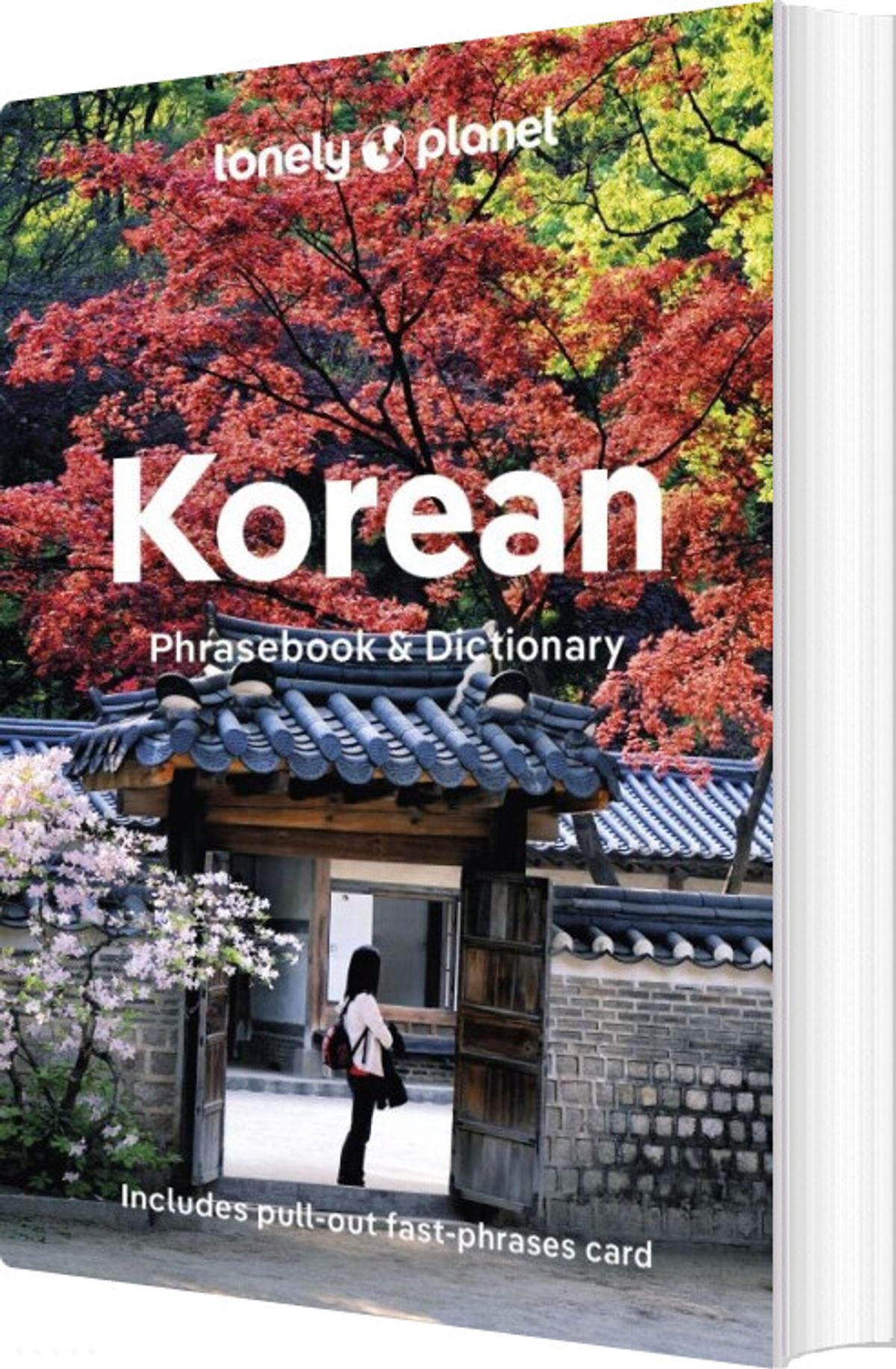 Korean Phrasebook & Dictionary - Diverse - English Book