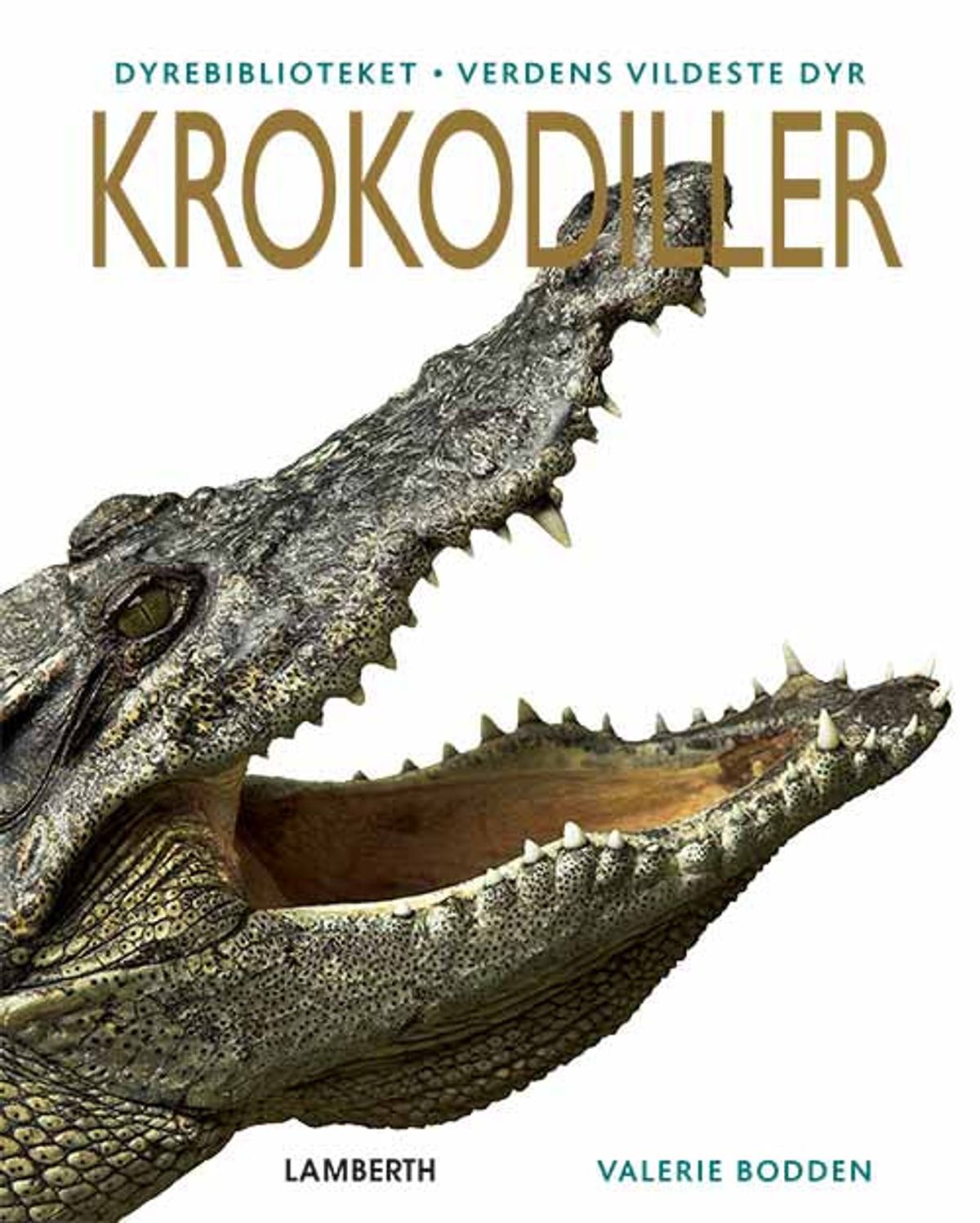 Krokodiller