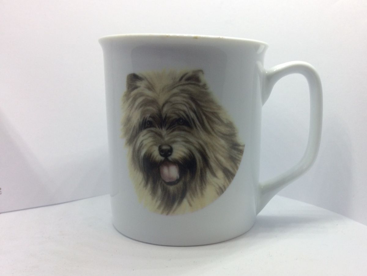 Krus med Cairn Terrier