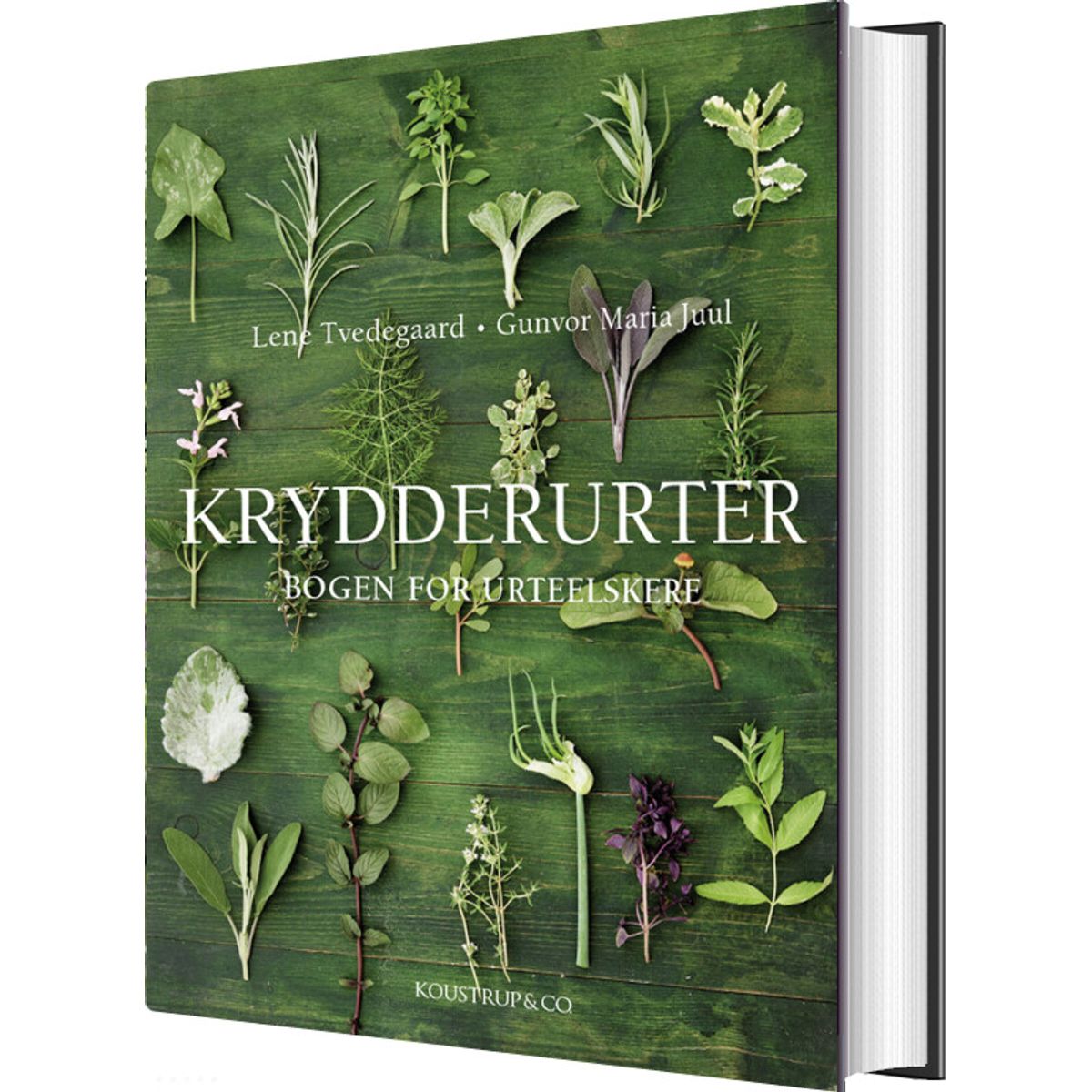 Krydderurter - Lene Tvedegaard - Bog