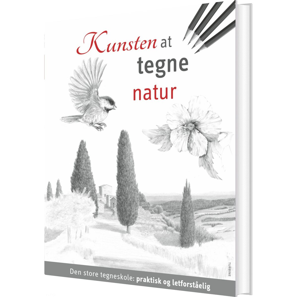 Kunsten At Tegne Natur - Diverse - Bog