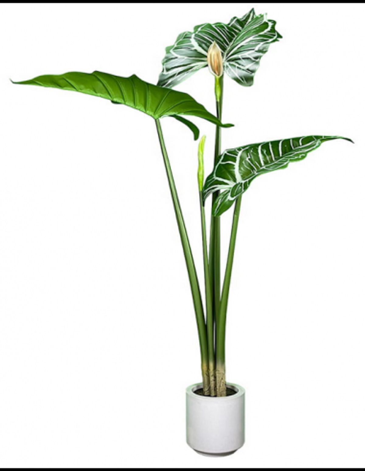 Kunstig Alocasia plante H140 cm - Grøn