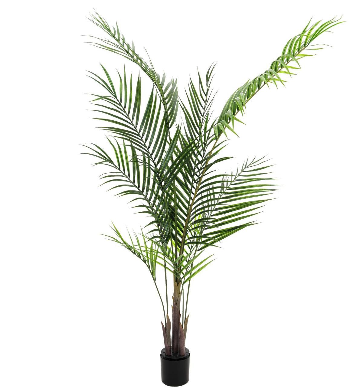 Kunstig Areca palme m. Store Blade (165cm)