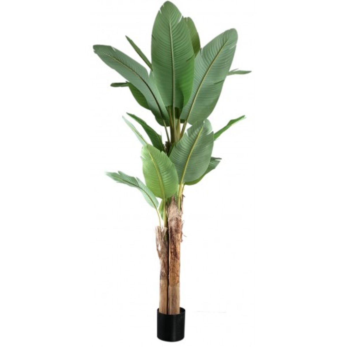 Kunstig banan palme H280 cm - Grøn