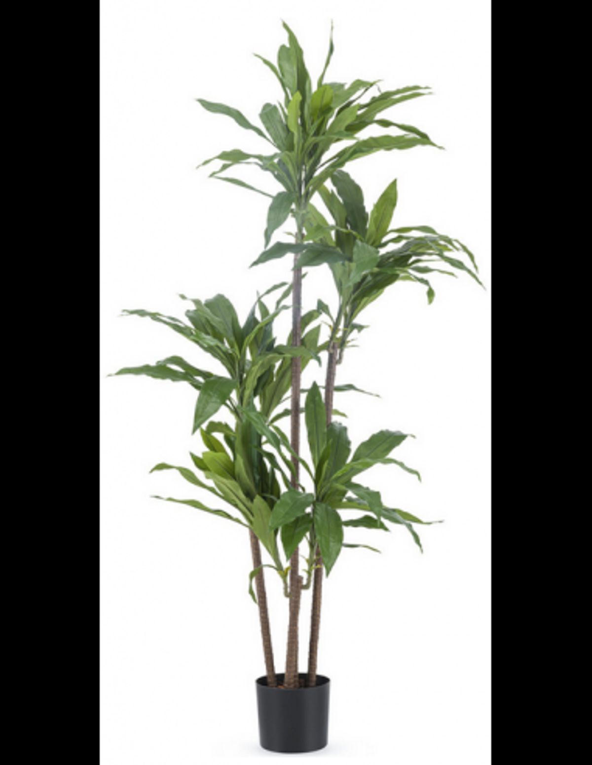 Kunstig Dracaena Fragnans plante H150 cm