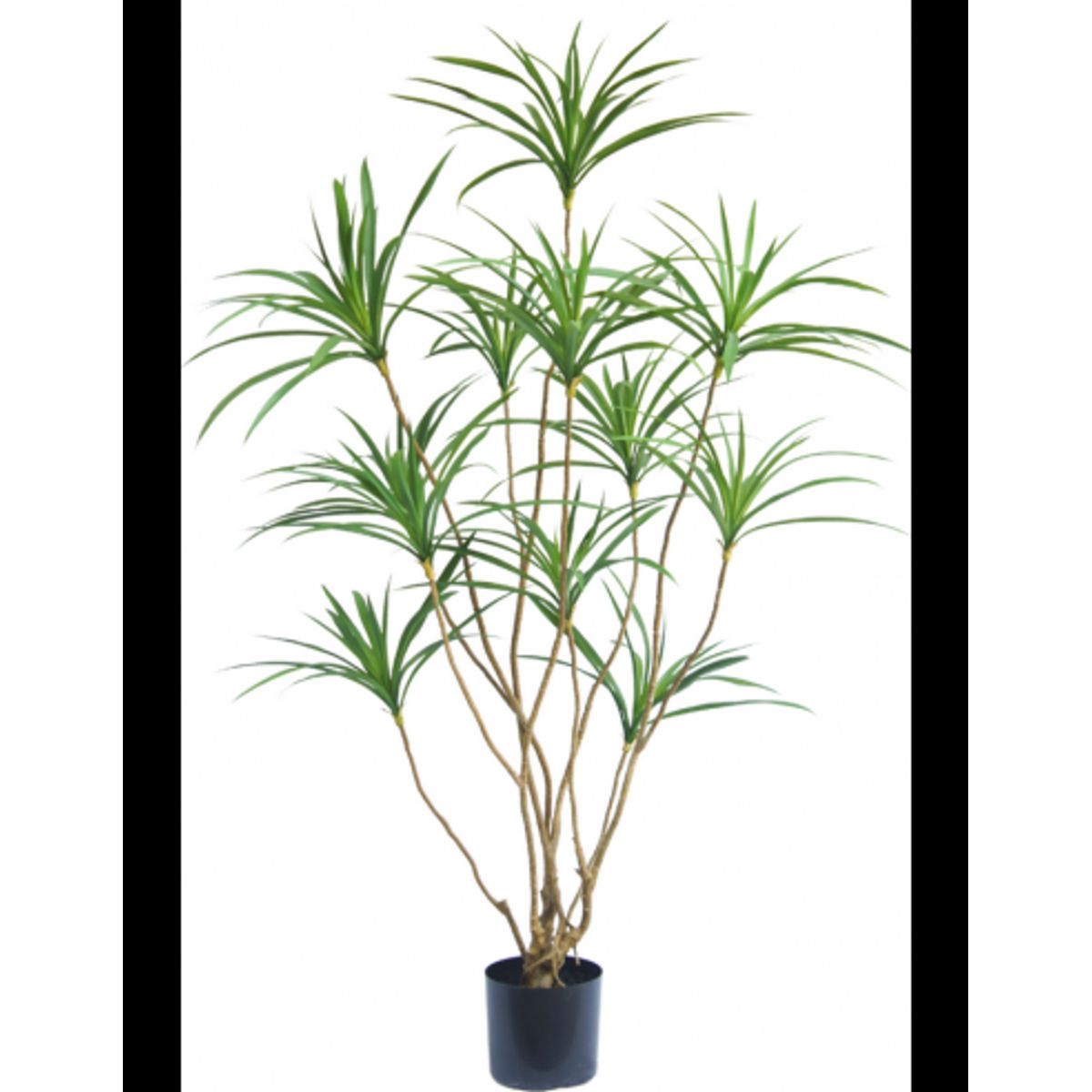 Kunstig Dracaena plante H150 cm