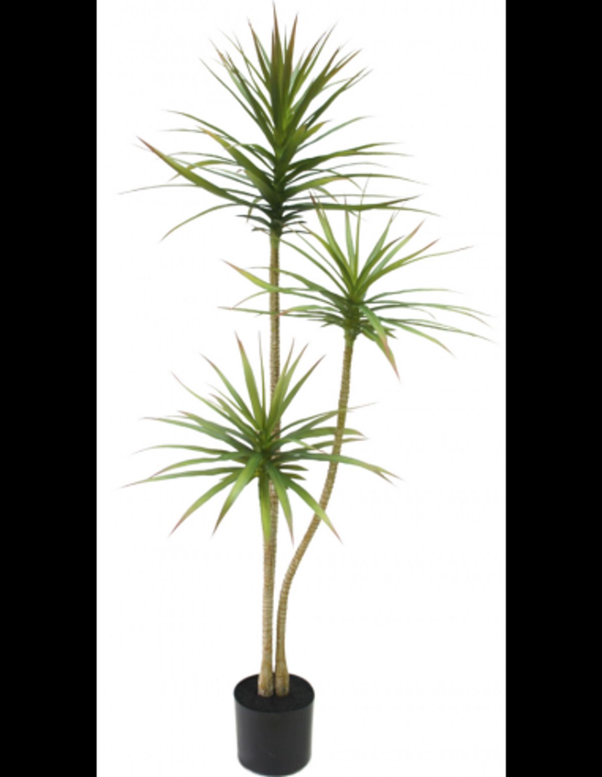 Kunstig Dracaena plante H150 cm