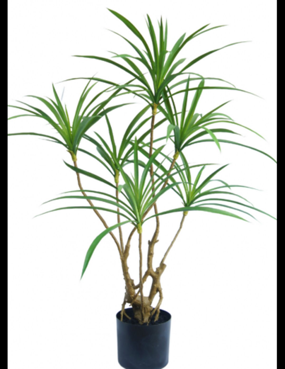 Kunstig Dracaena plante H90 cm