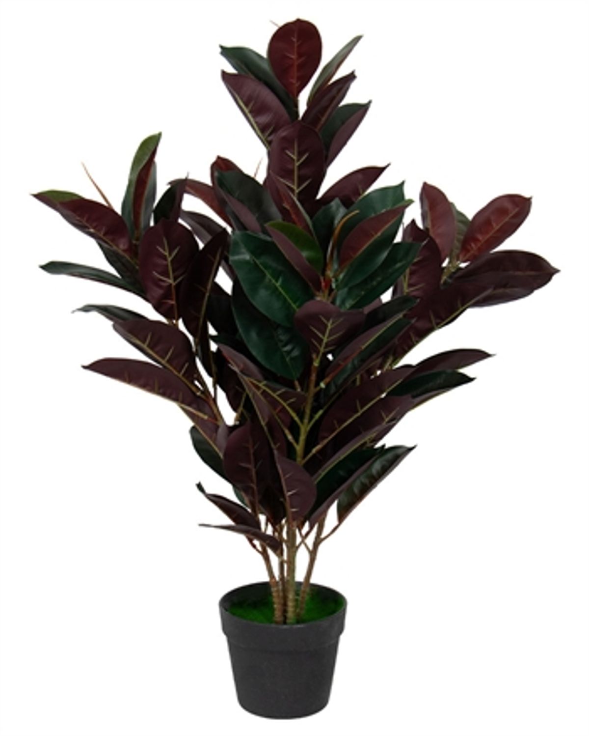 Kunstig gummi plante 80 cm høj - Ficus elastica med rødlige blade