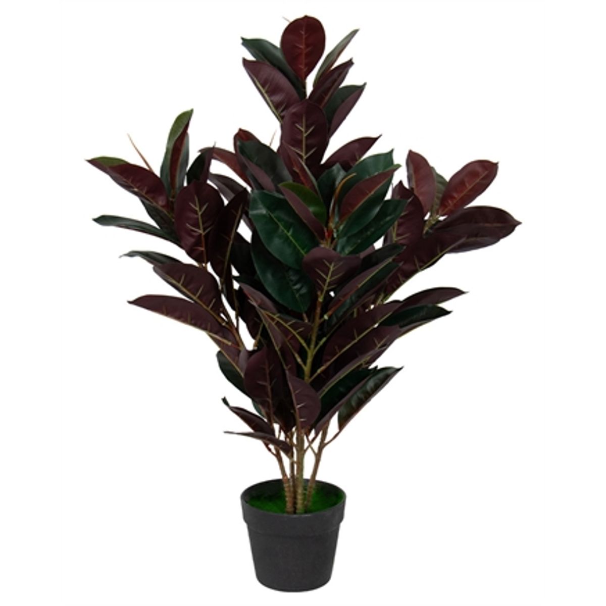 Kunstig gummi plante 80 cm høj - Ficus elastica med rødlige blade