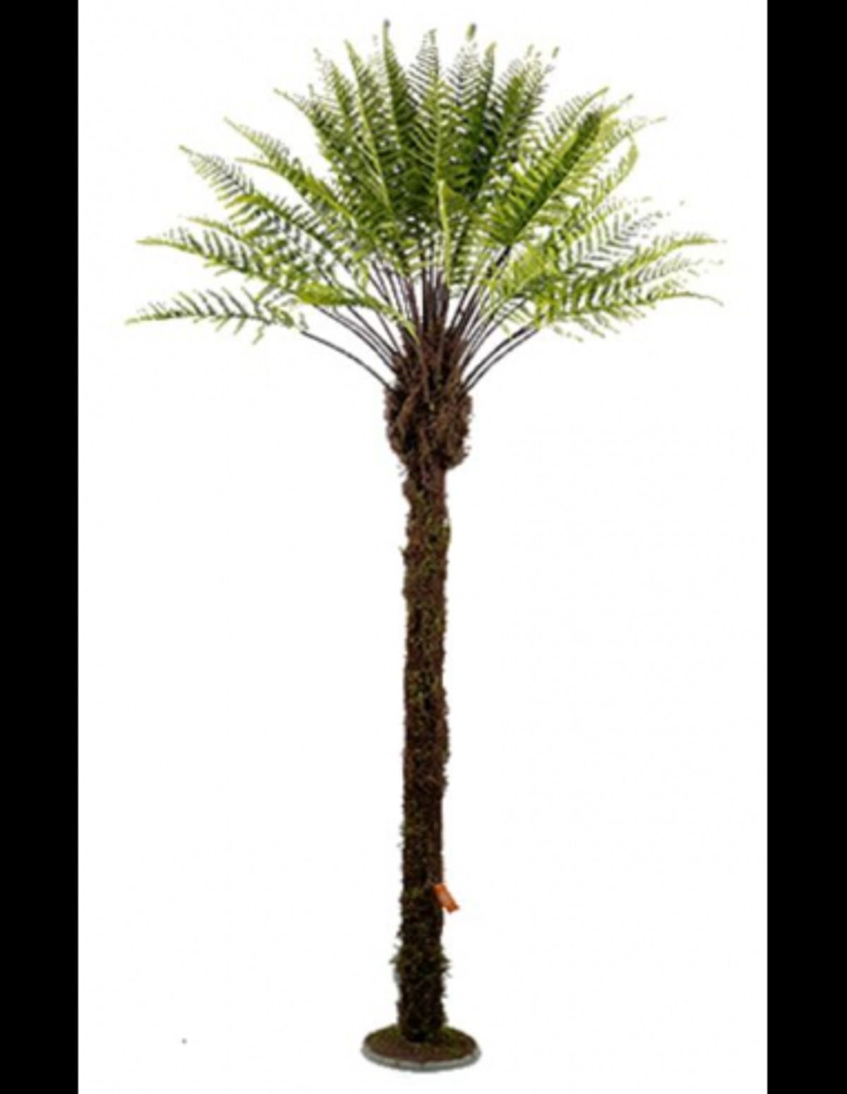 Kunstig New Zealand bregne palme H270 cm