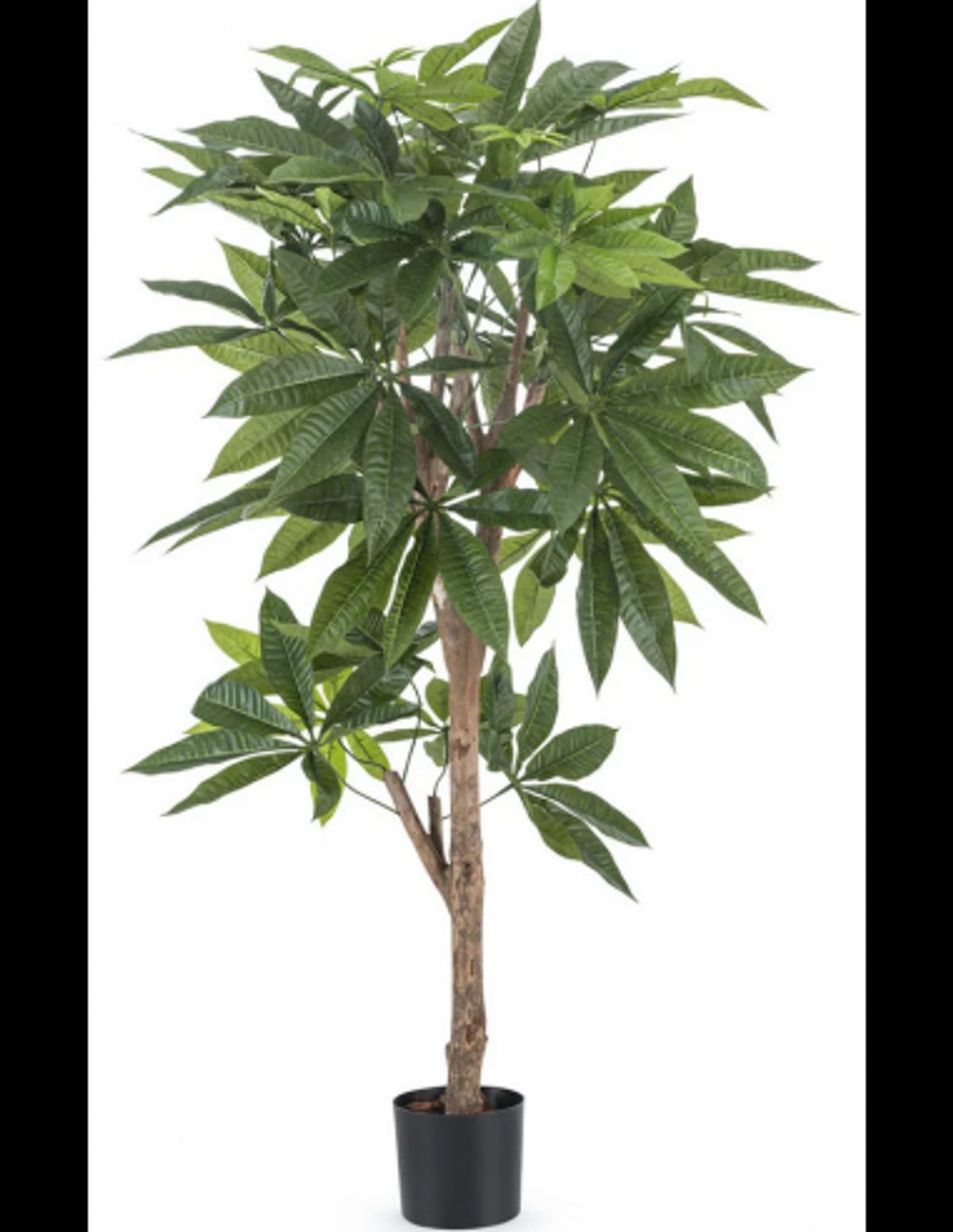 Kunstig Pachira Braid plante H115 cm