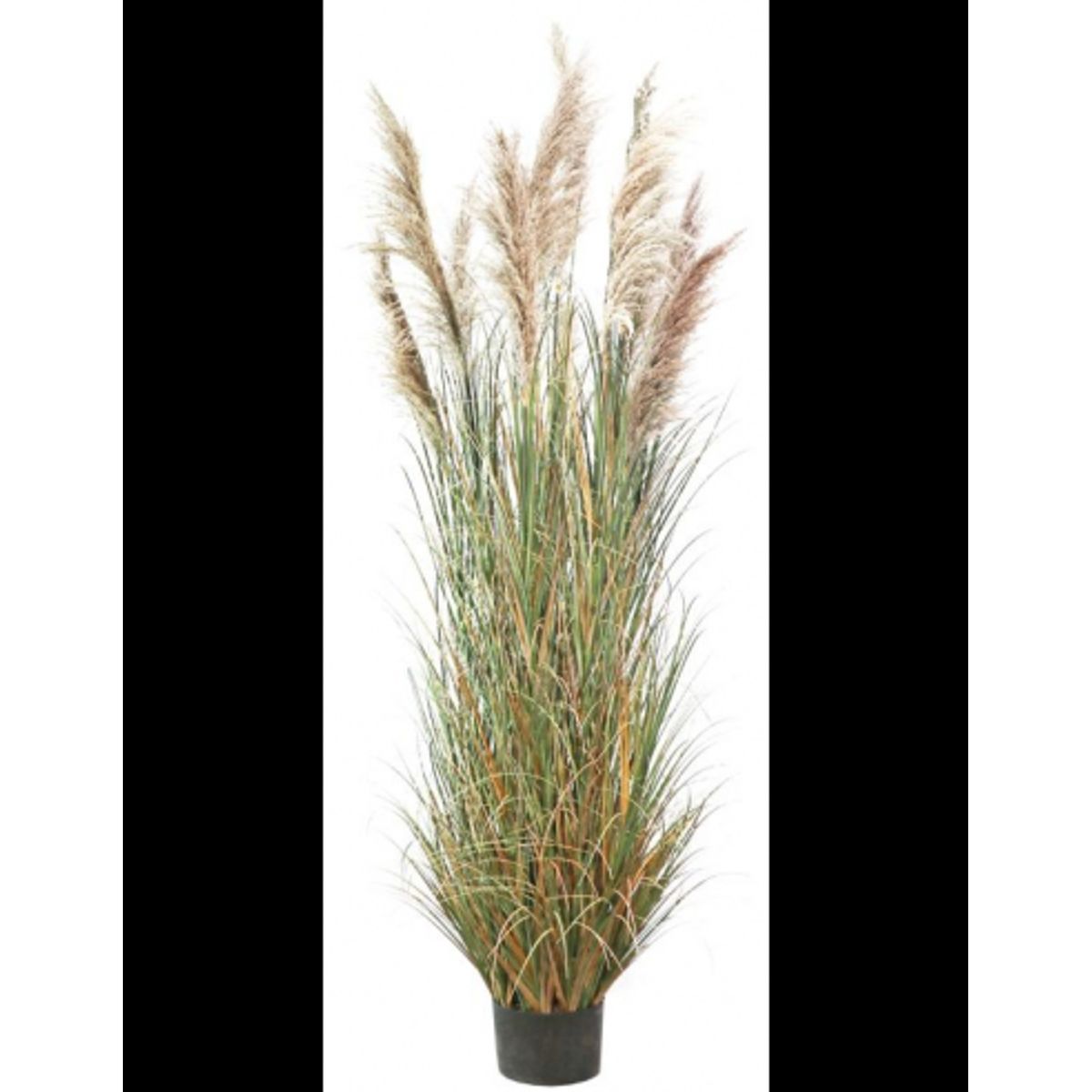 Kunstig pampas græs H280 cm