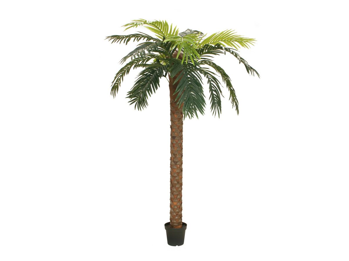 Kunstig Phoenix Palme, 300 cm