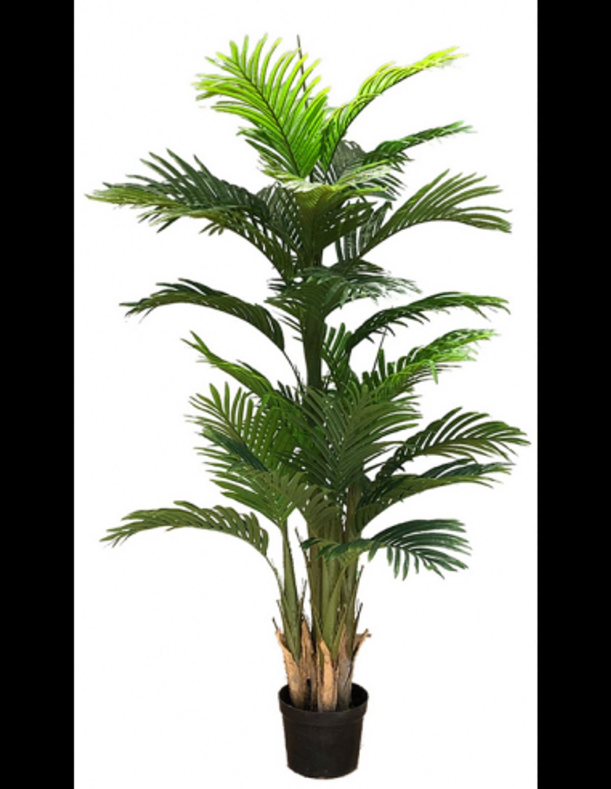 Kunstig Ravenea plante H180 cm - Grøn