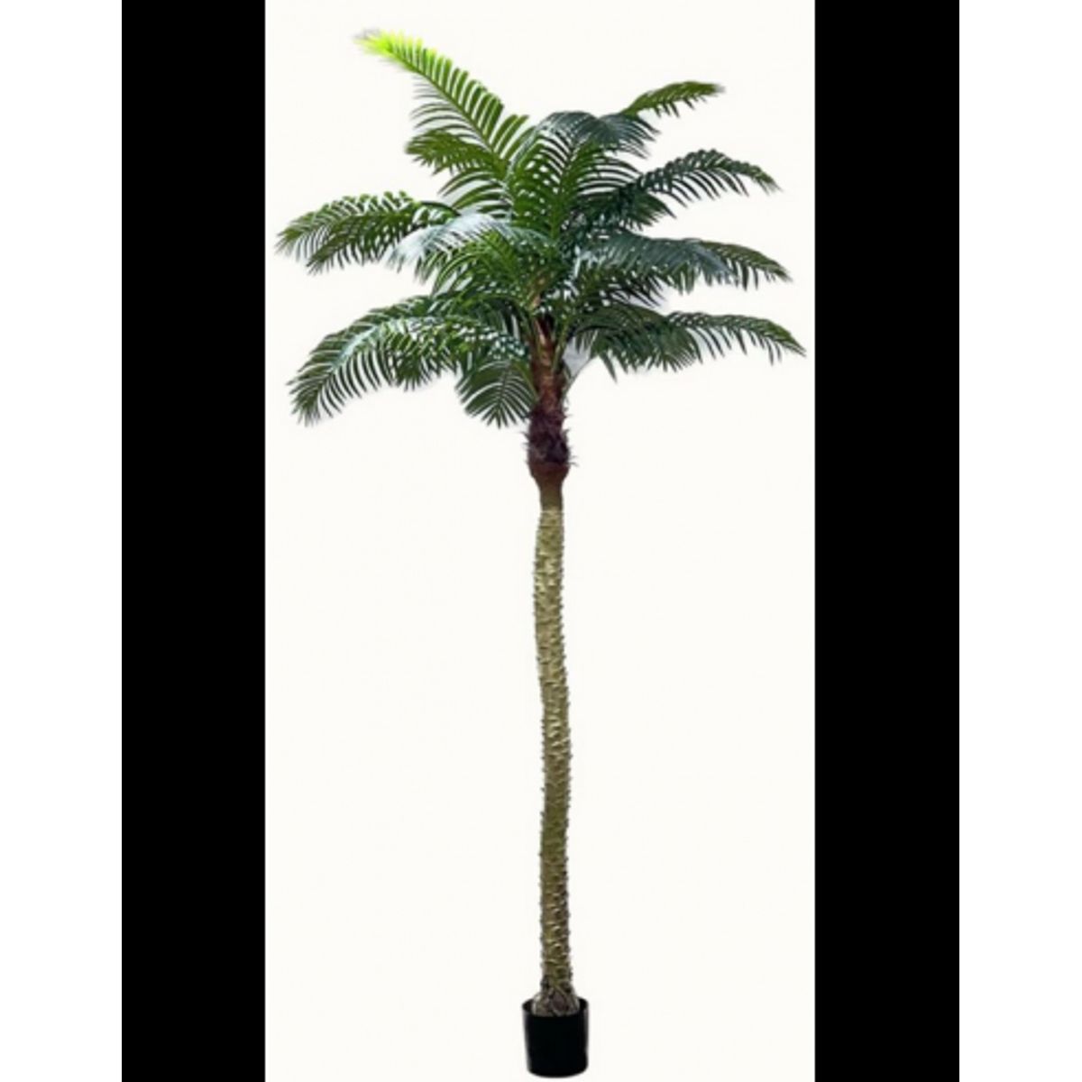 Kunstig Robellini palme H300 cm