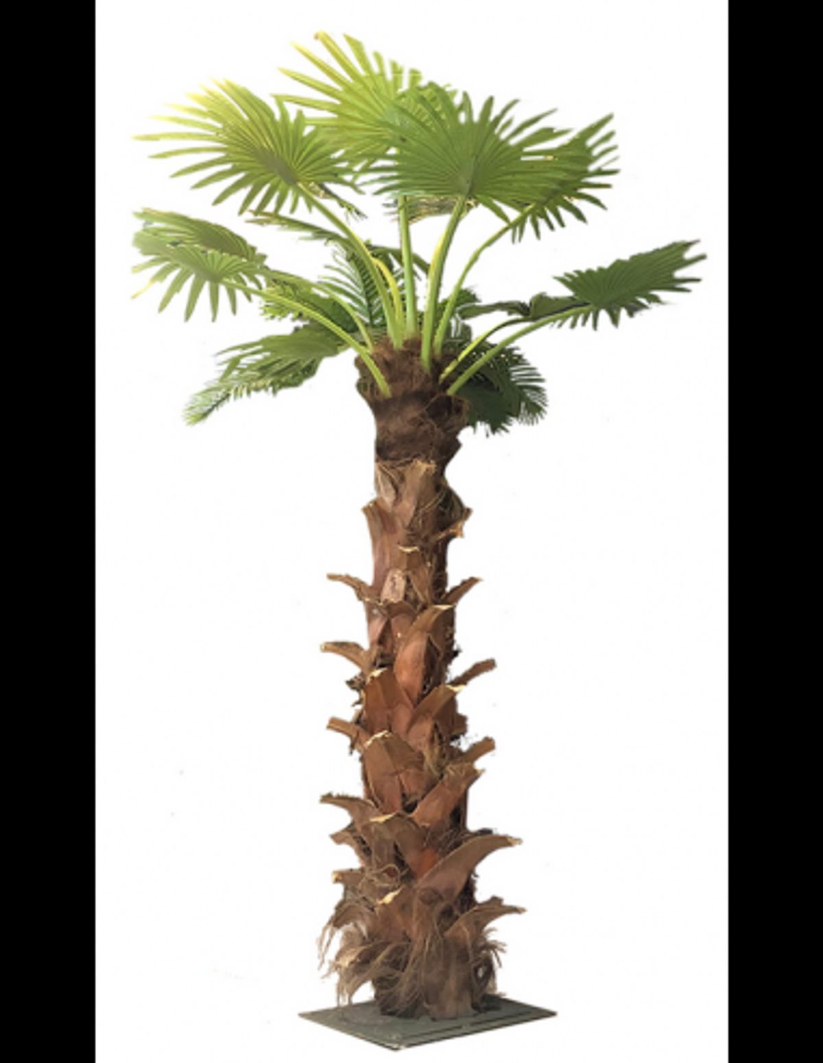 Kunstig Sabal palme H250 cm - Brun/Grøn