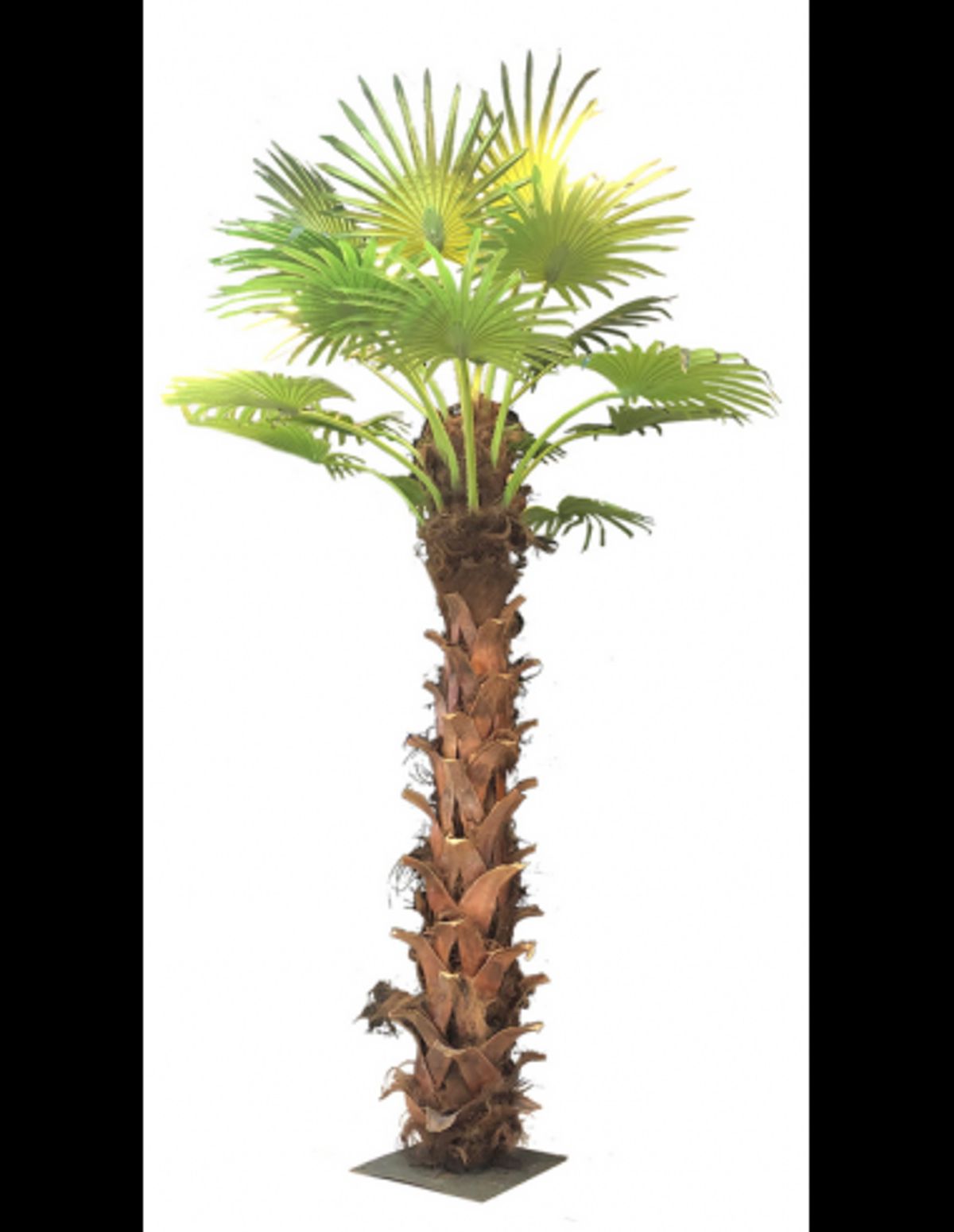 Kunstig Sabal palme H350 cm - Brun/Grøn