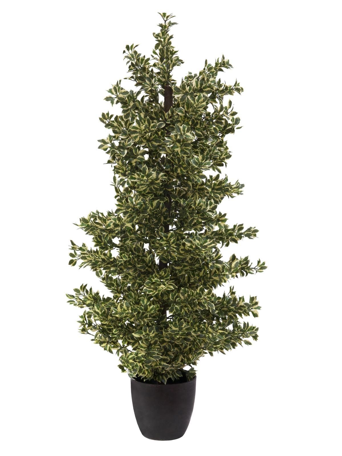 Kunstig Woodficus Silverleaf, 120 cm.