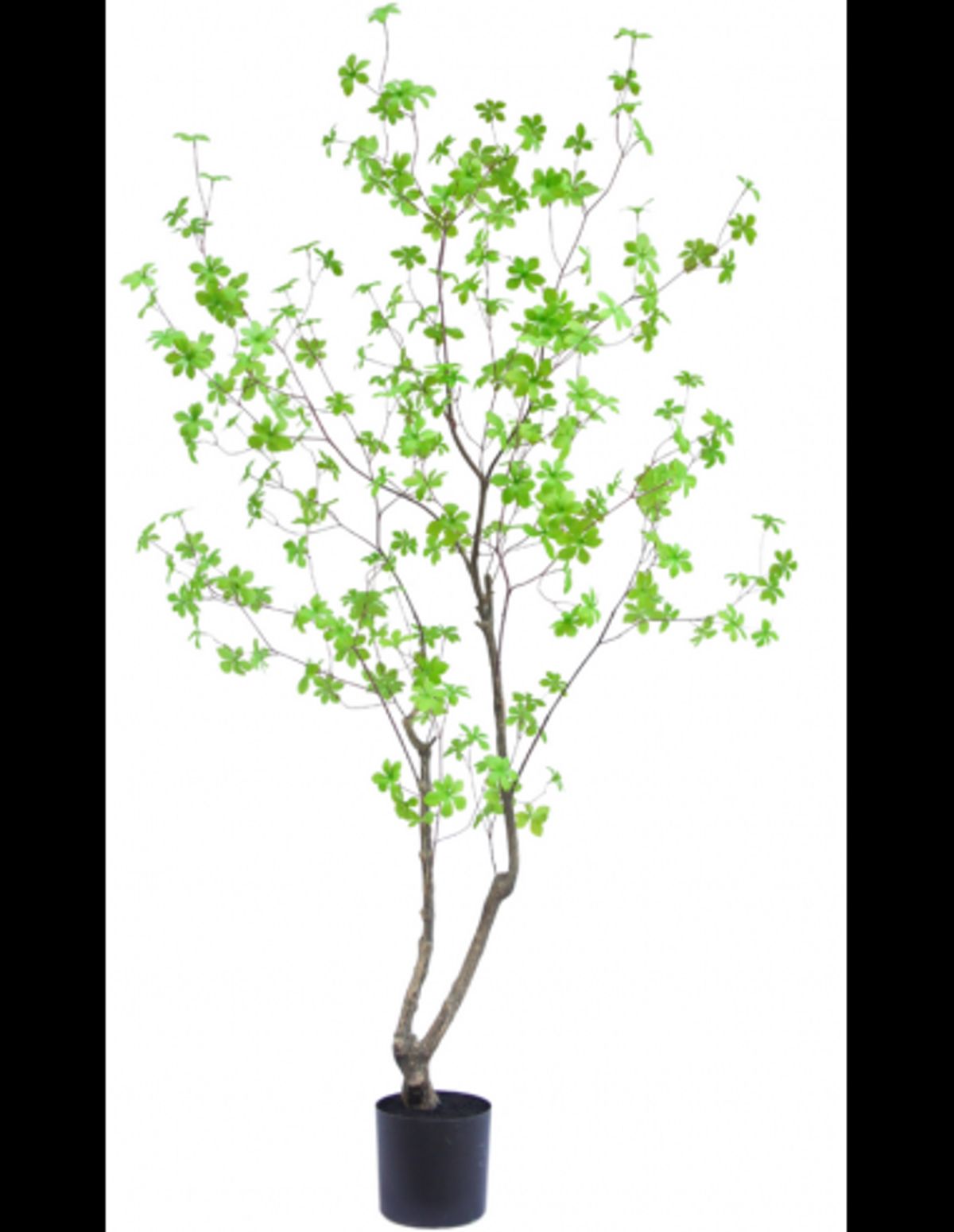 Kunstigt Enkianthus træ H180 cm