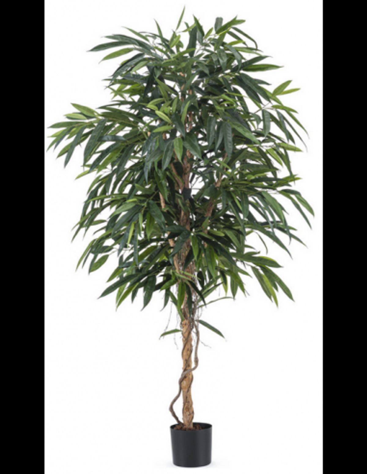 Kunstigt Longifolia Royal træ H180 cm