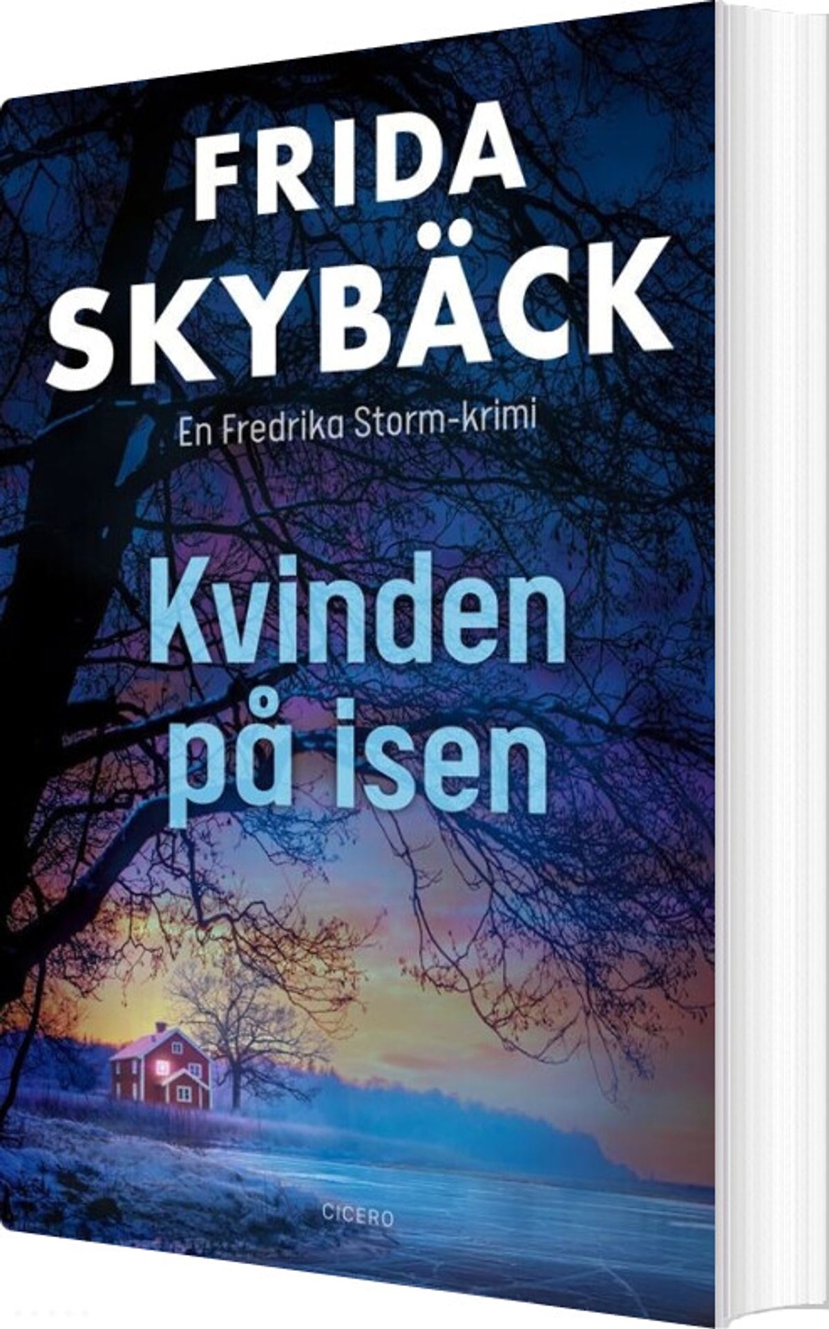 Kvinden På Isen - Frida Skybäck - Bog