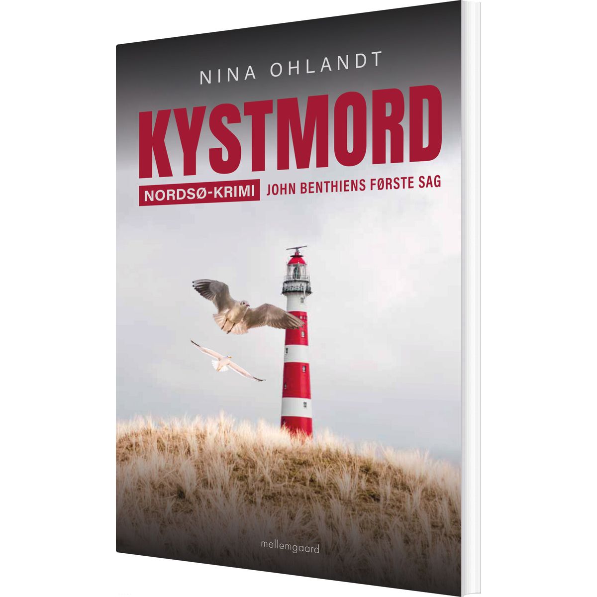 Kystmord - Nina Ohlandt - Bog