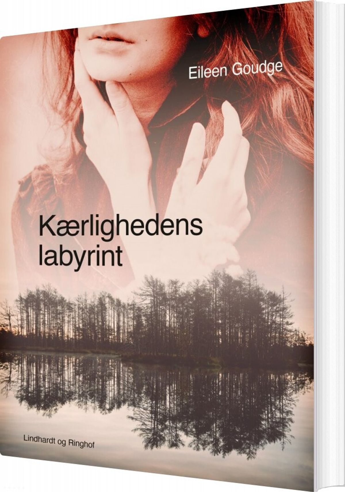 Kærlighedens Labyrint - Eileen Goudge - Bog