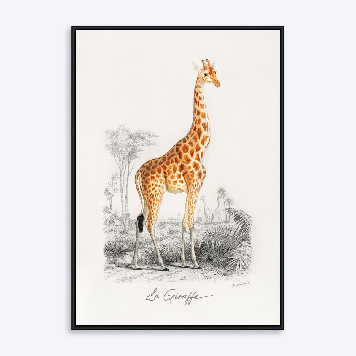 La Giraffe - 30x40 cm