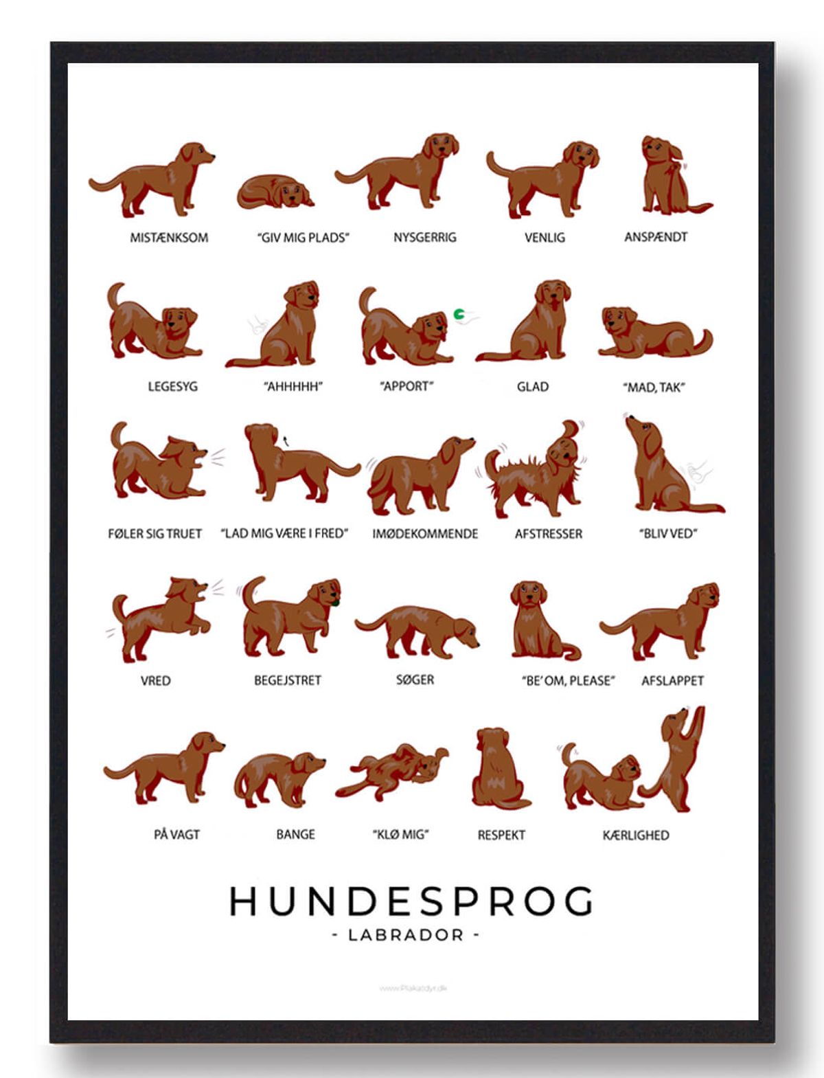 Labrador brun - Hundesprog plakat (Størrelse: L - 50x70cm (B2))