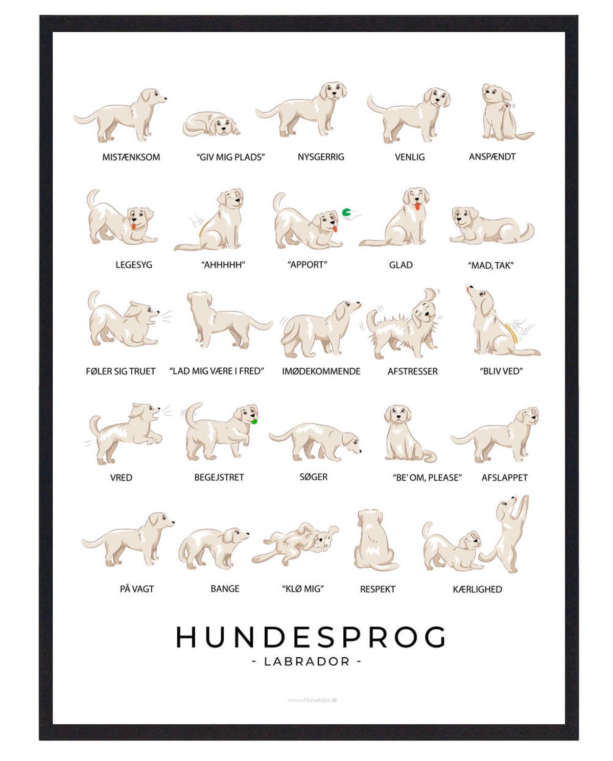 Labrador hvid - Hundesprog plakat (Størrelse: L - 50x70cm (B2))