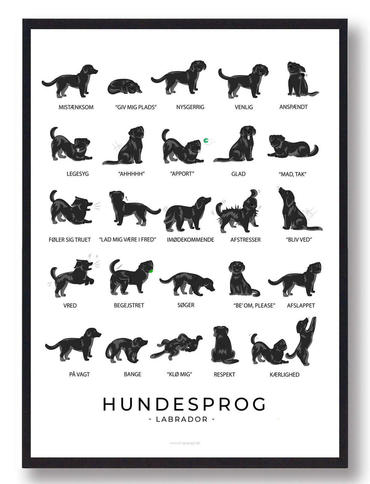 Labrador sort - Hundesprog plakat (Størrelse: L - 50x70cm (B2))