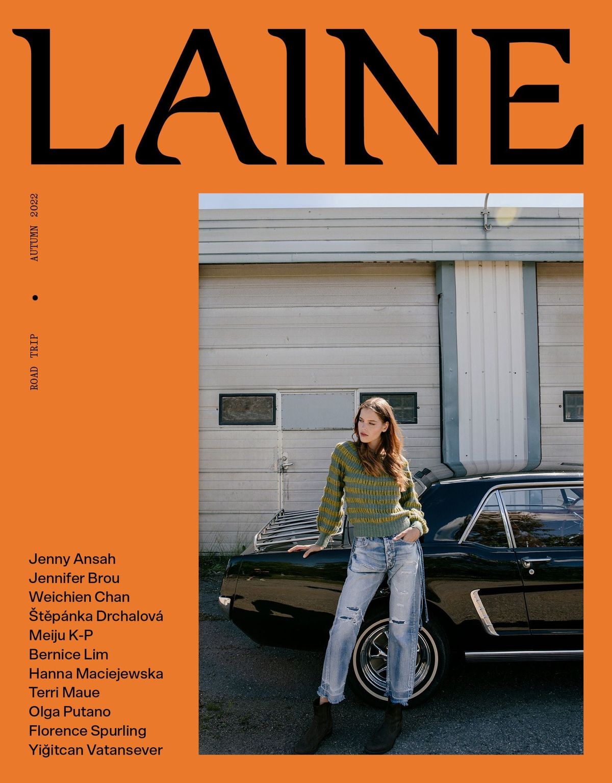 Laine Magazine Issue 15