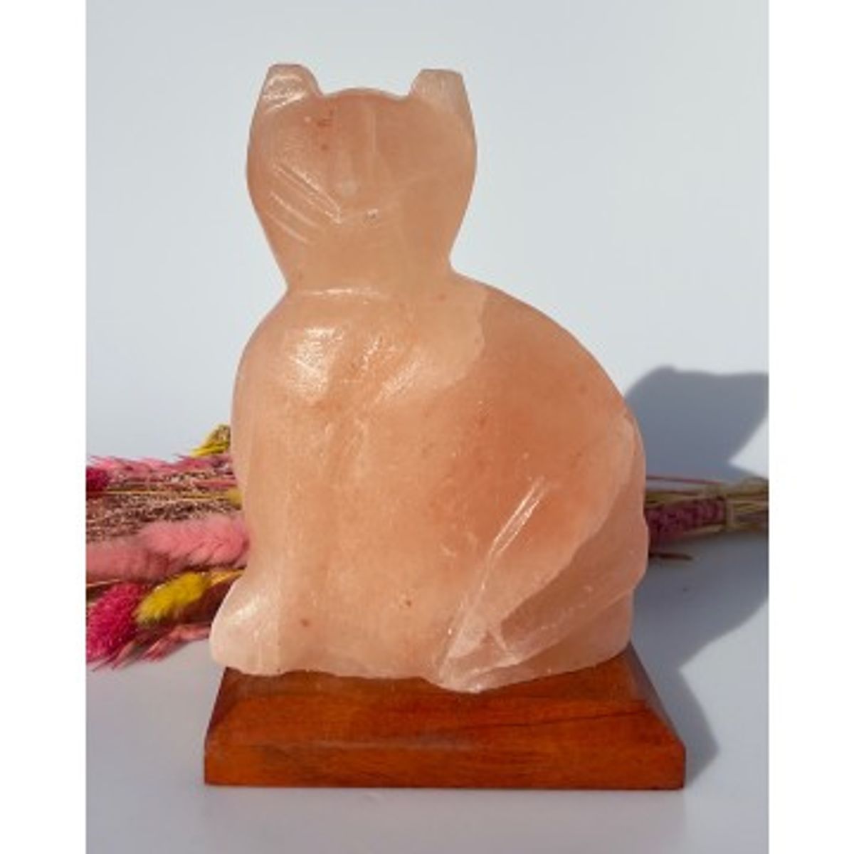 Lampe - Kat - Salt krystal lamper - GodKarmaShop