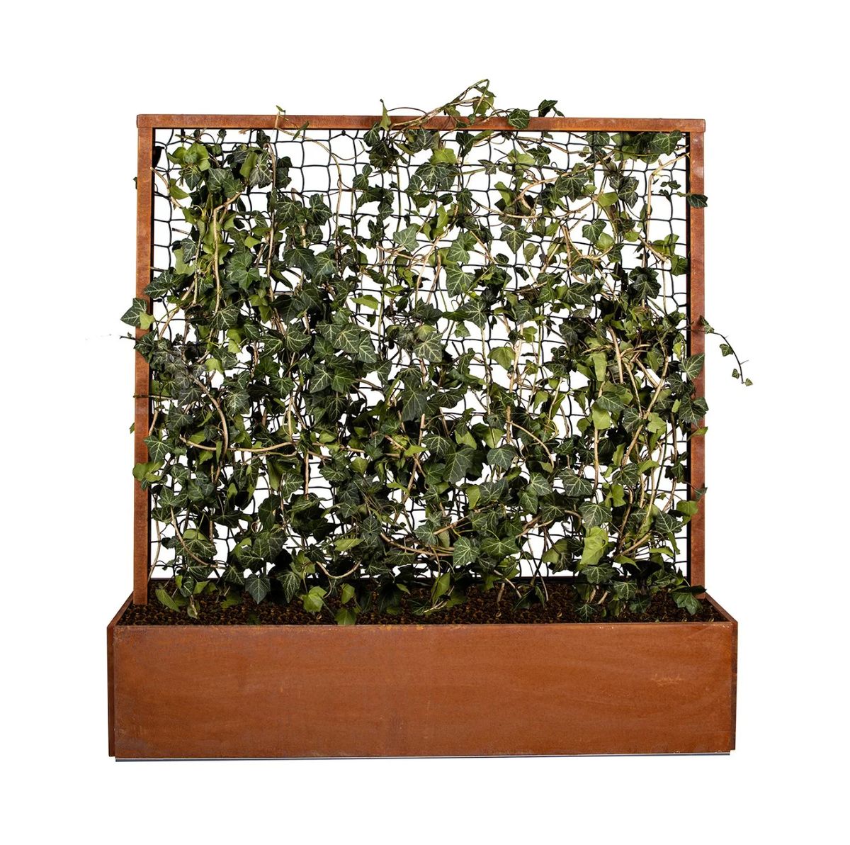 Land Modern Plantekasse med espalier i Corten - 140 cm